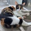 Donna - knuffig und sozial