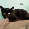 Loic