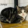 Tumpy