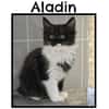 ALADIN (Réservé)