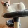 Penny und Pepe suchen ein Zuhause