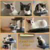 Penny und Pepe suchen ein Zuhause