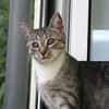 Moody -1 Jahr- FelV+ -Blind- verspielt