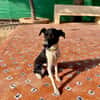 JAGGER (Martina)