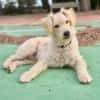 POLAR (Martina)