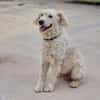POLAR (Martina)