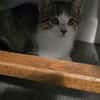 ZAZOU