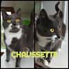CHAUSSETTE