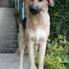 Buffy sucht ihre Familie