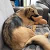Buffy sucht ihre Familie