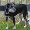 Zara sucht liebe Menschen