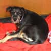 Zara sucht liebe Menschen