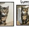 LUMY (Réservée)