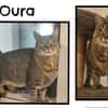 OURA