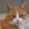 JERO