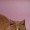 JERO