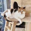 Trudi sucht mit Freigang