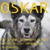 OSKAR - Adoptantin abgesprungen