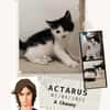 Actarus