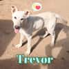 TREVOR nato ad Aprile ‘25