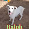 RALPH nato ad Aprile ‘25