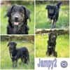 JAMPY2 * sportlicher Schmuser