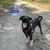 🐾💐Jack sucht seine Menschen💐🐾