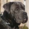 BALU