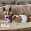 Mia