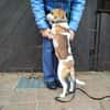 Bethany 3 -liebt Menschen u. Hunde-