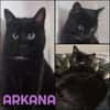 ARKANA