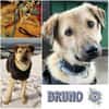 BRUNO * familienfreundlicher Bub