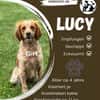 🐾 Lucy sucht ihr Zuhause ♥