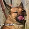 ARCHIBALD