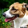 Salina sucht liebe Menschen