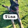 TINA (union animal)