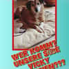 kleine süße Vicky auf PS in 90562