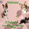 Vulcana