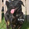 KÖNIG