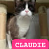 CLAUDIE
