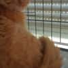 SUNNY sucht ein liebesvolles Zuhause