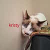 KRISTY A17392