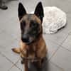 XENA