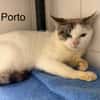 Porto