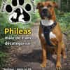 PHILEAS