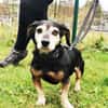 Bori, traumhaft liebe Seniorin