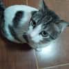 MILOW