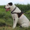 PATCH