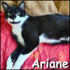 Ariane