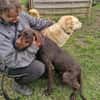 Gypsy - lernwillig und aktive Lady